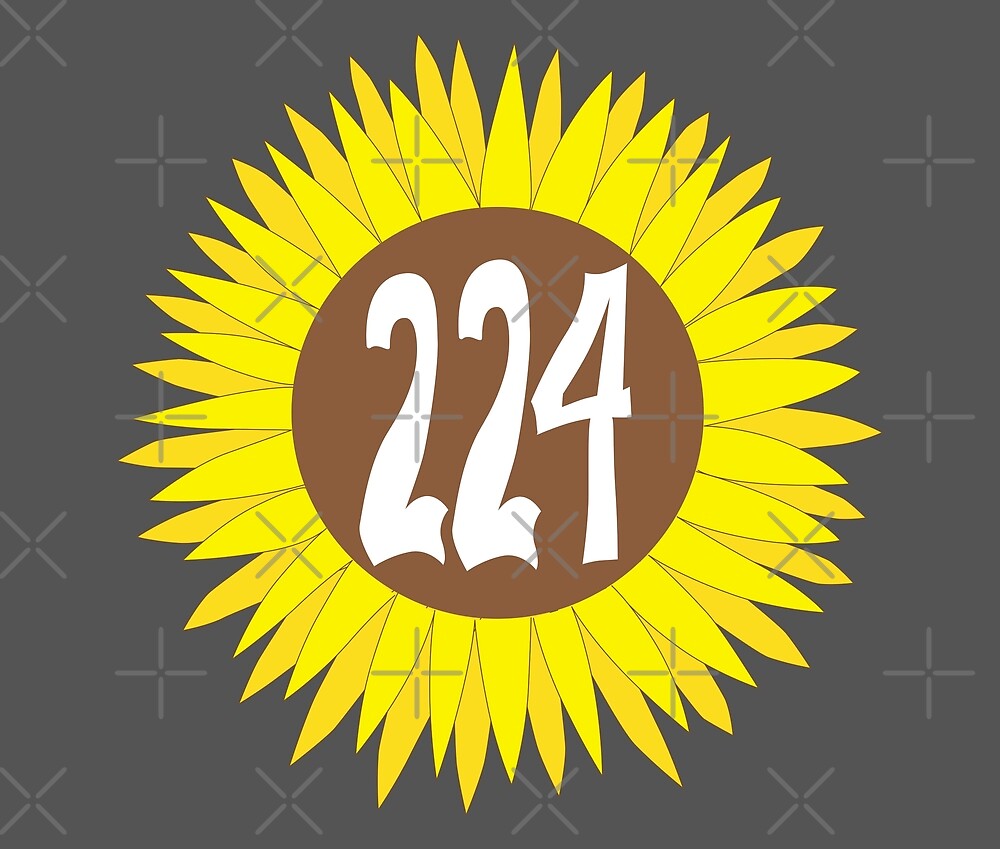 hand-drawn-illinois-sunflower-224-area-code-by-itsrturn-redbubble