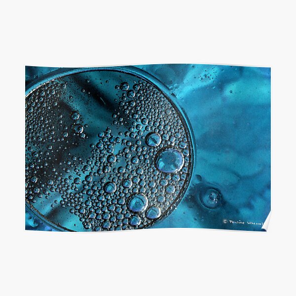 Bubbles in blue Poster