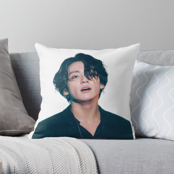 https://ih1.redbubble.net/image.978382365.6865/throwpillow,small,600x-bg,f8f8f8-c,0,120,600,600.jpg