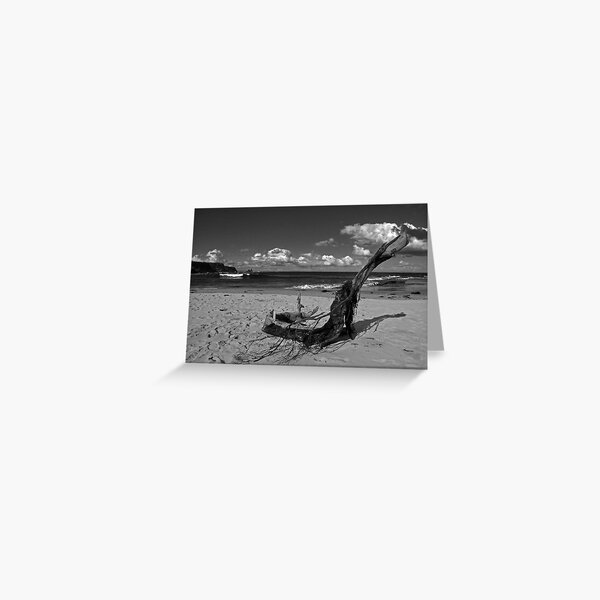Drift Wood Greeting Card
