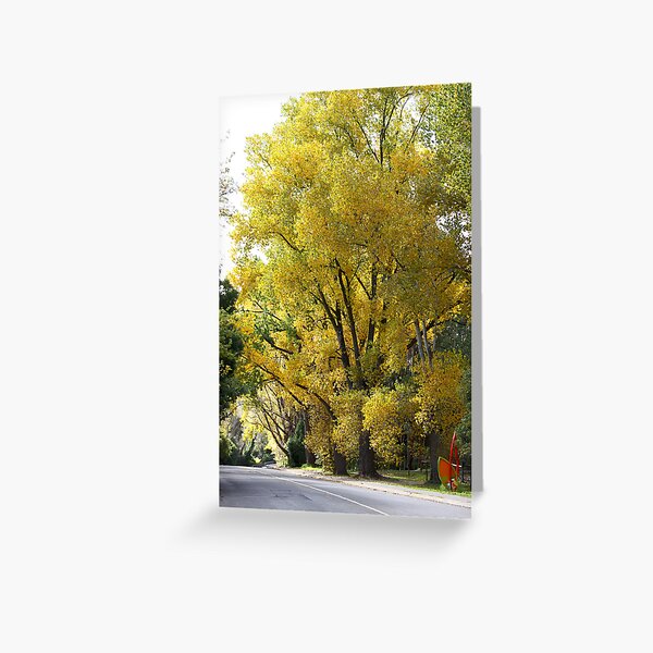 Item preview, ~ Stirling ~ designed and sold by LeeoPhotography.