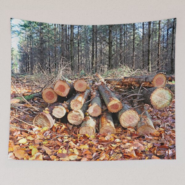 Item preview, Forest Walk designed and sold by John Thurgood.