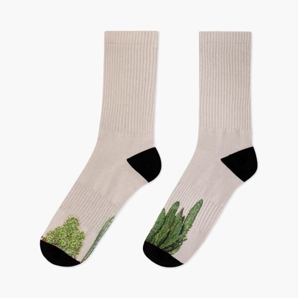 Item preview, Cactus plants in a row designed and sold by SJAPhoto.