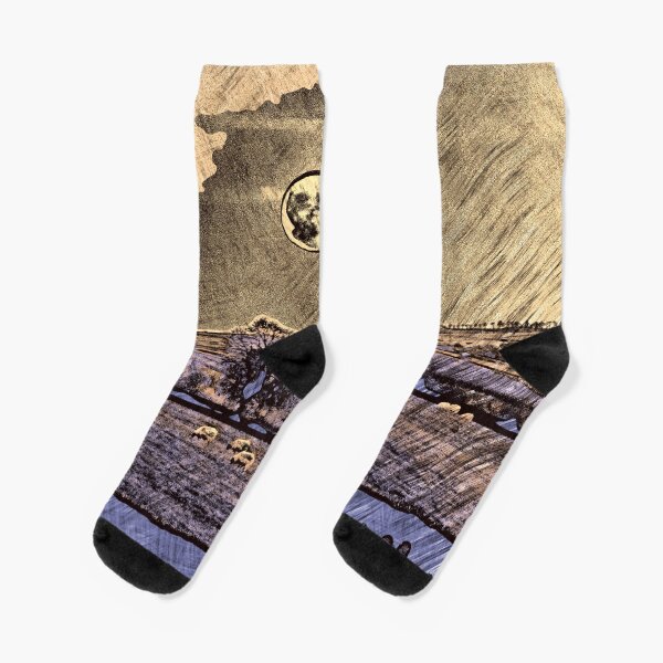 Moon over Leicestershire Socks