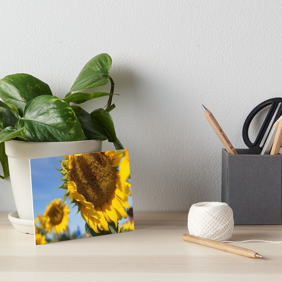 Item preview, Art Board Print designed and sold by dianacaptures.