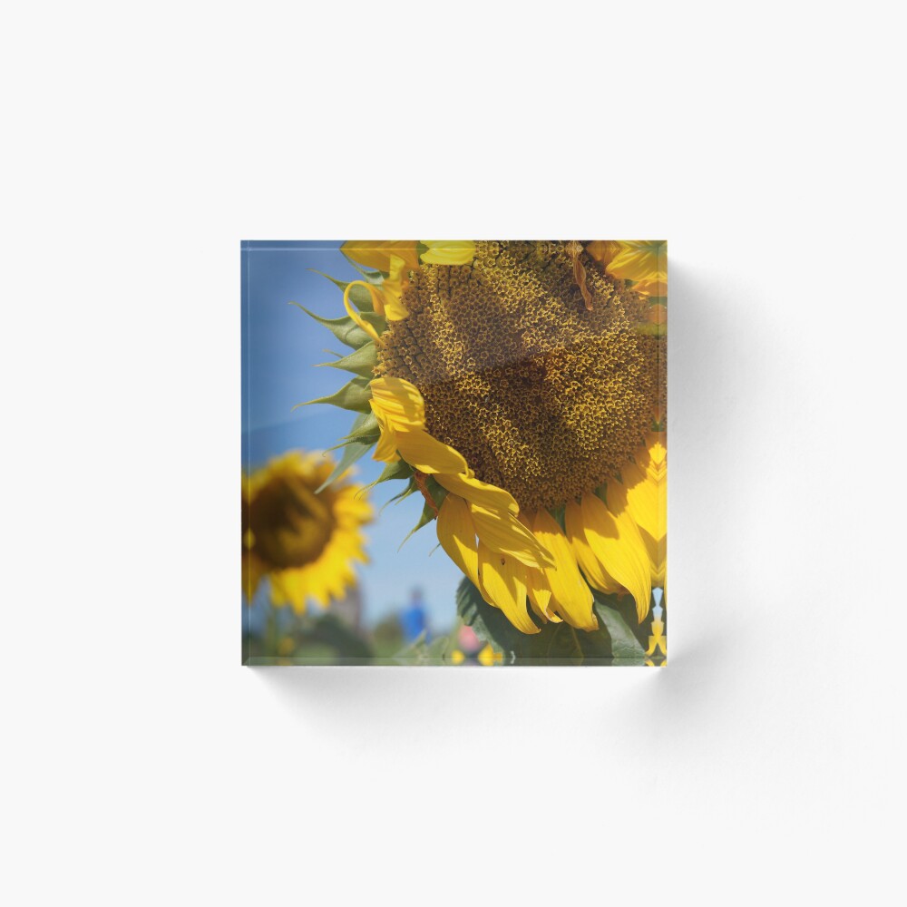 Item preview, Acrylic Block designed and sold by dianacaptures.