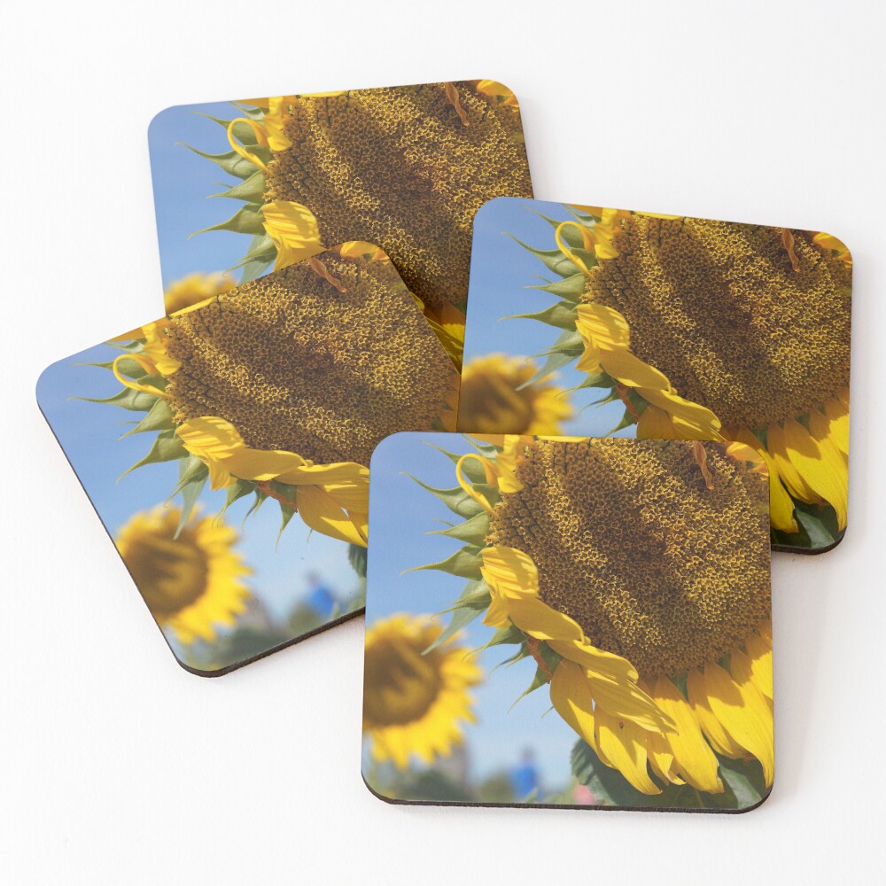 Item preview, Coasters (Set of 4) designed and sold by dianacaptures.