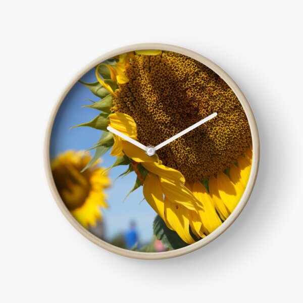 Item preview, Sunflower designed and sold by dianacaptures.