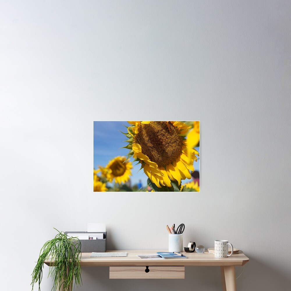 Item preview, Poster designed and sold by dianacaptures.