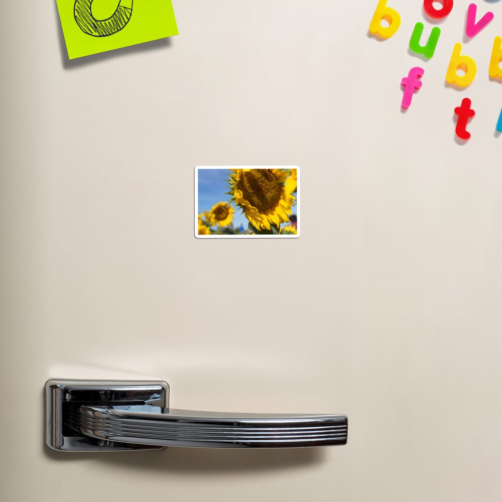 Item preview, Magnet designed and sold by dianacaptures.
