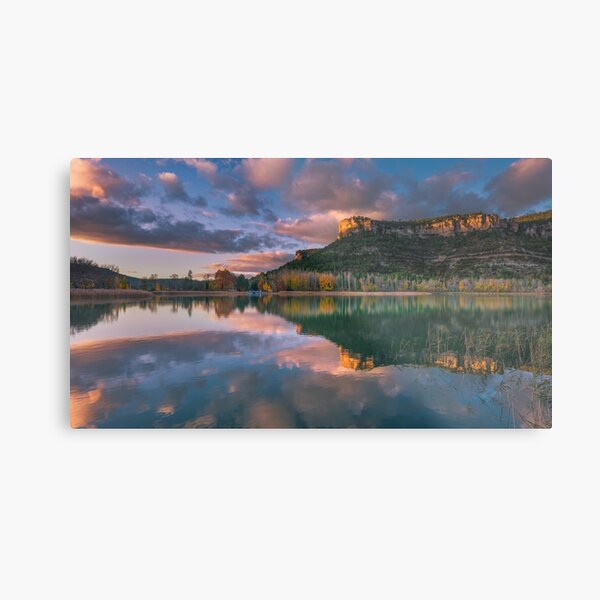 Metal Print