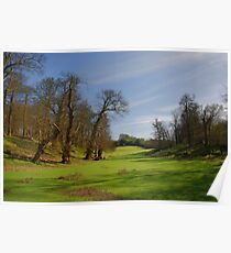 Knole Park Poster