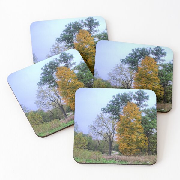 Item preview, Distant Road designed and sold by LynyrdSky.