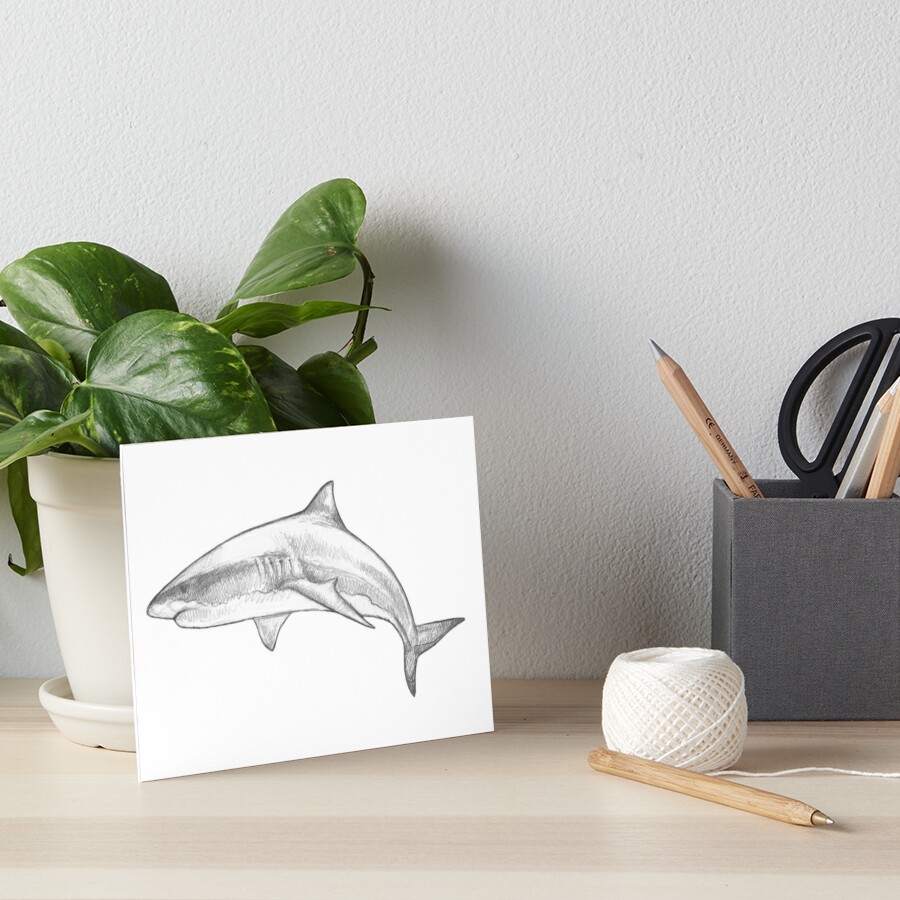 Great White Shark V Monochromatic Pencil Line Sketch Drawing By MadliArt Art Board Print