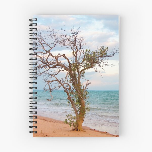 Item preview, Arnhem Bay at Nyinyikay designed and sold by Erik Schlogl.