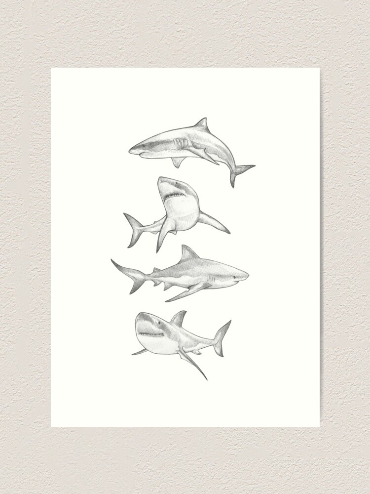 Sketchbook For Kids: SHARK DRAWING PAD large sketch book, sketch