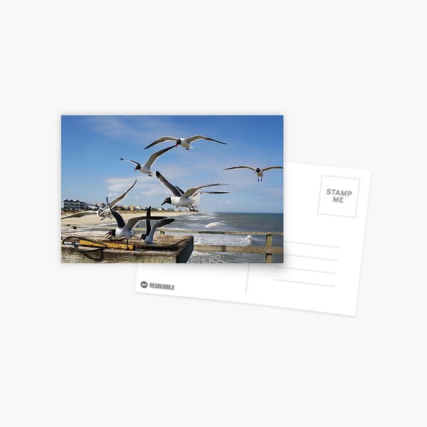 Item preview, Feeding Frenzy designed and sold by Paulette1021.