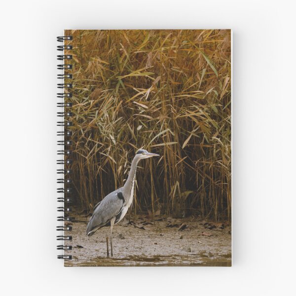 Item preview, Great Blue Heron designed and sold by Tadas  Svetikas.