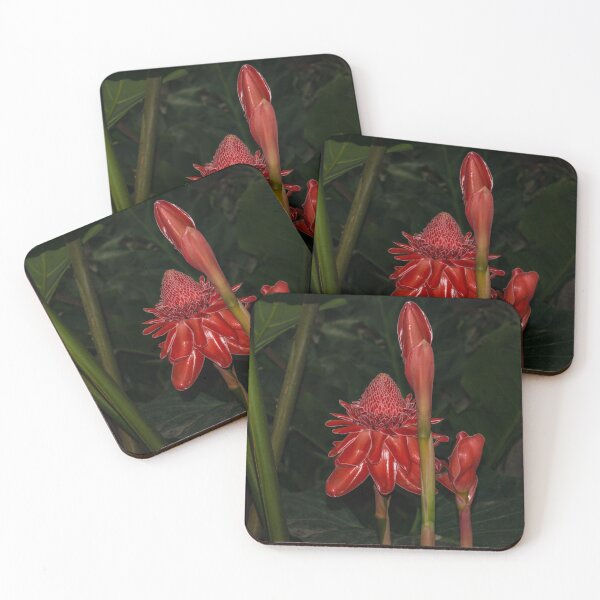 Item preview, Red Torch Ginger Lily - Glossy, Exotic and Wonderful designed and sold by Georgia Mizuleva.