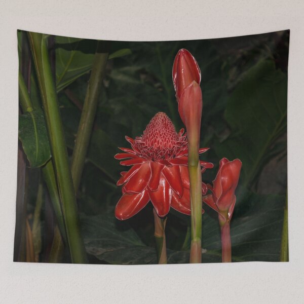 Item preview, Red Torch Ginger Lily - Glossy, Exotic and Wonderful designed and sold by Georgia Mizuleva.