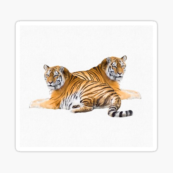 Bengal Tiger Geschenke Merchandise Redbubble