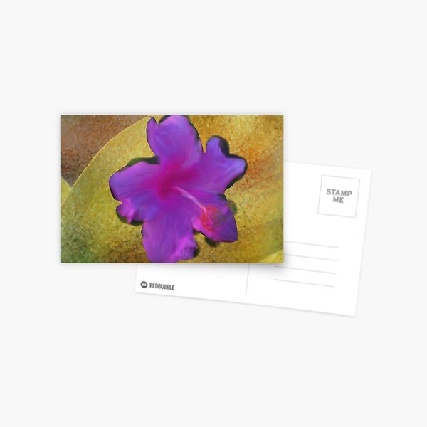 wow Postcard