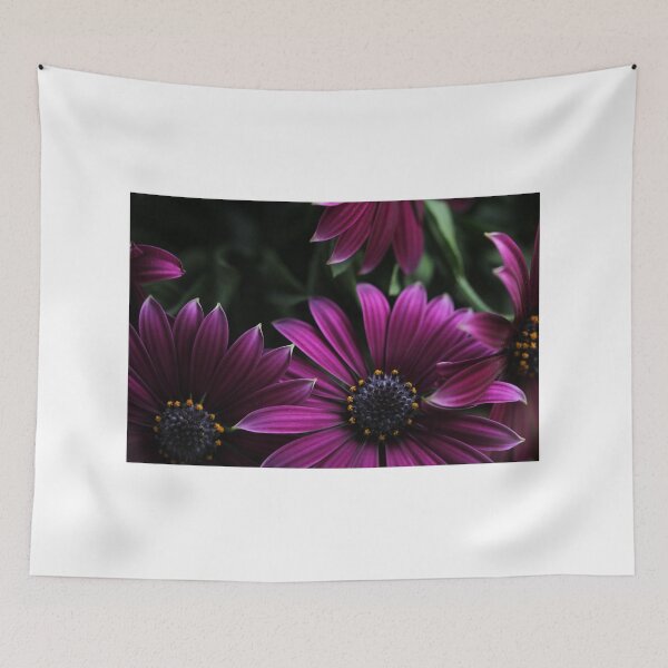 Item preview, My experience designed and sold by Stedema.