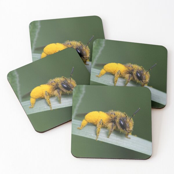 Item preview, Apeluche, abeja o peluche? designed and sold by Stedema.