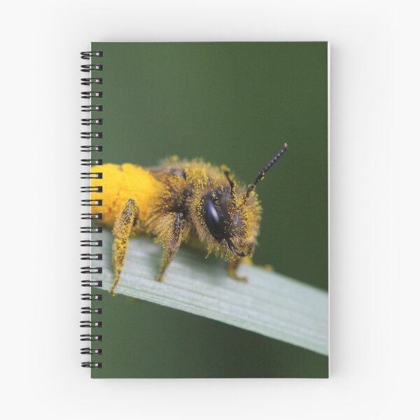 Item preview, Apeluche, bee or peluche? designed and sold by Stedema.