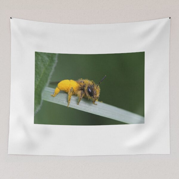 Aperçu de l'œuvre Apeluche, abeille ou peluche? créée et vendue par Stedema.