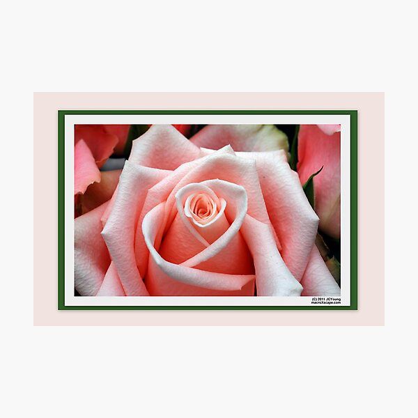 Simply.. Photographic Print