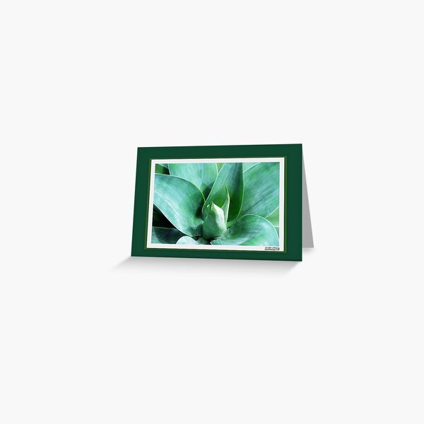 The Color of Future Greeting Card