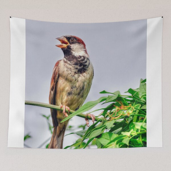 Item preview, House Sparrow designed and sold by Steve H Clark.