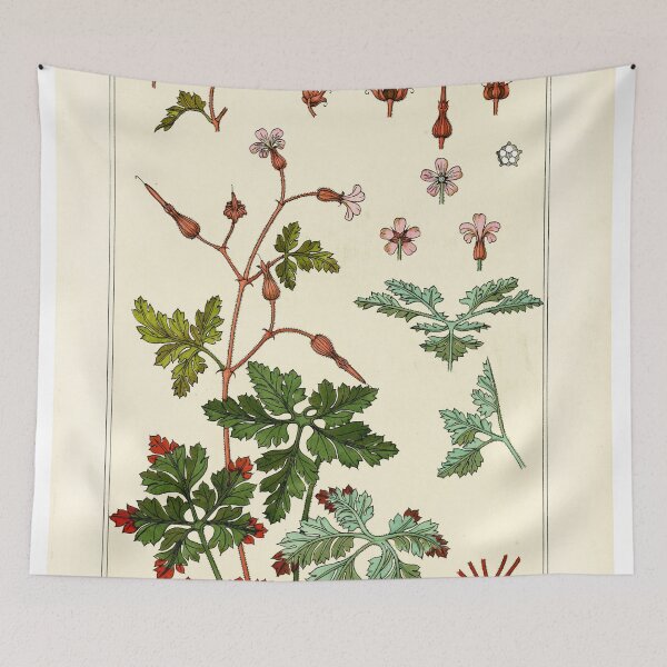 Item preview, French botanical flower plate - J Milesi - Geranium sauvage designed and sold by DejaVuStudio.