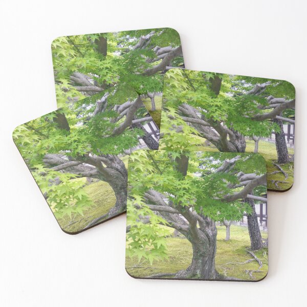 Item preview, The Weathered Tree designed and sold by wravelo.