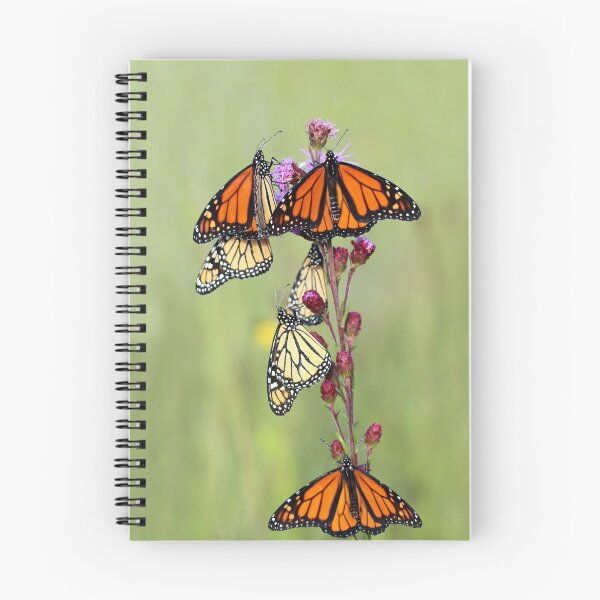 Artikelvorschau, Monarch Migration entworfen und verkauft von Carolyn Fletcher.
