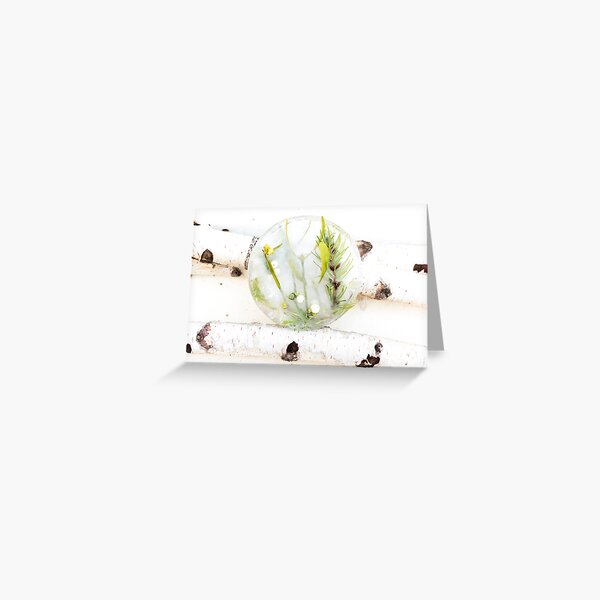 Le Medaillon de Glace. Carte de vœux