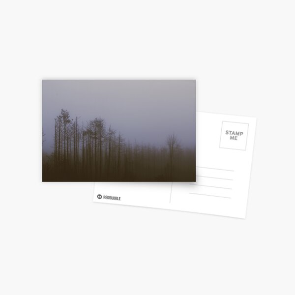 Fog and Needle Postcard