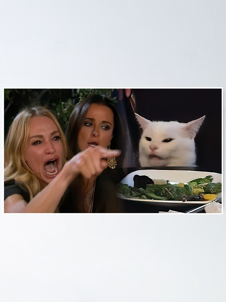 Woman Yelling At A Cat Poster By Bertoni Lee Redbubble