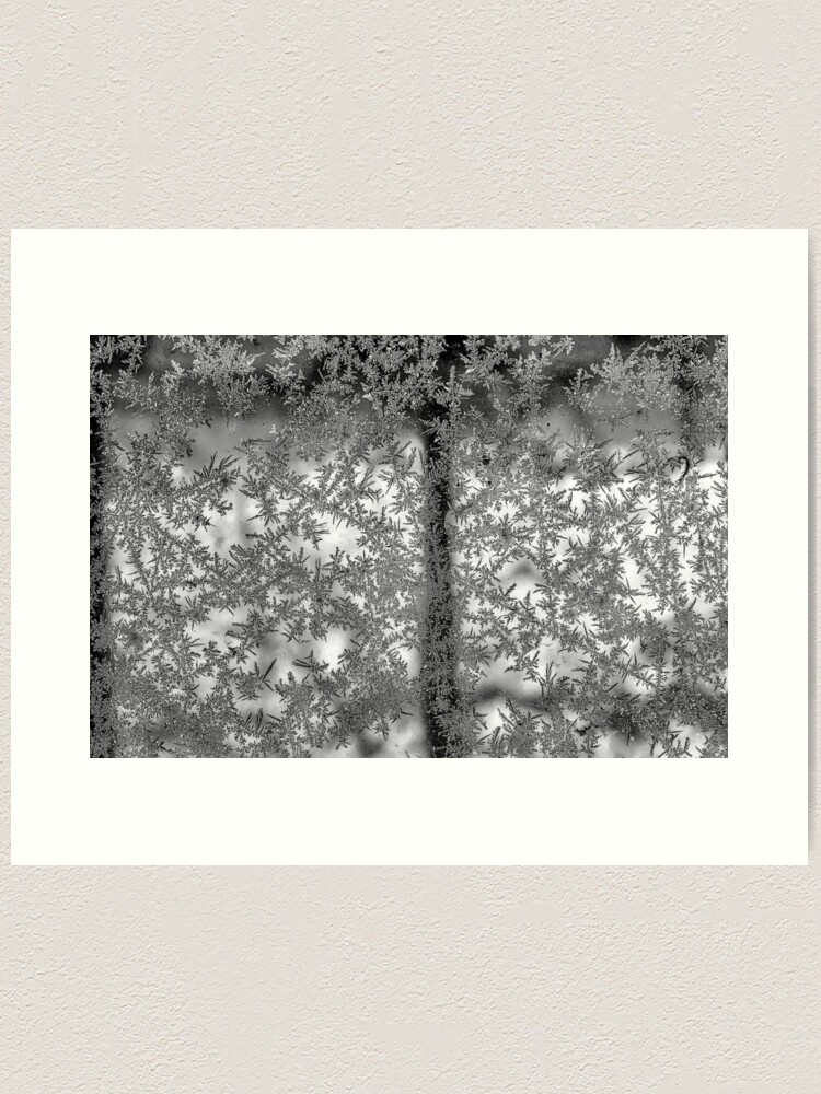 Alternate view of Ice flowers Art Print