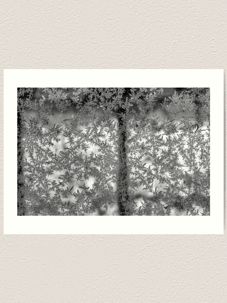 Alternate view of Ice flowers Art Print