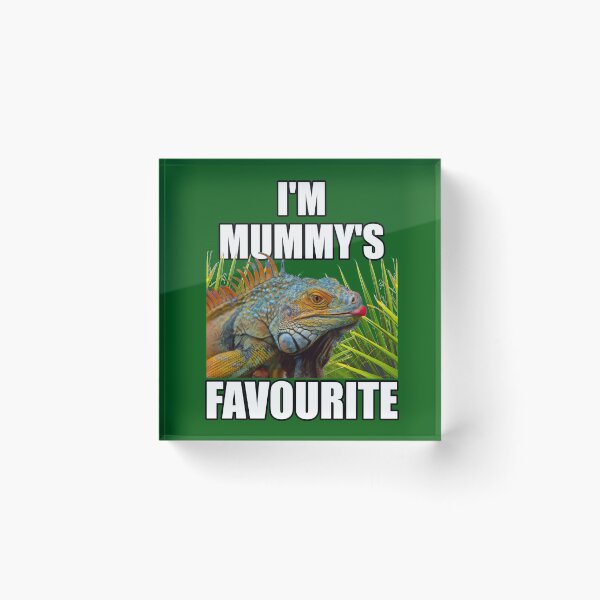 Item preview, Green Iguana Mum Reptile Keeper Design designed and sold by JRRTs.