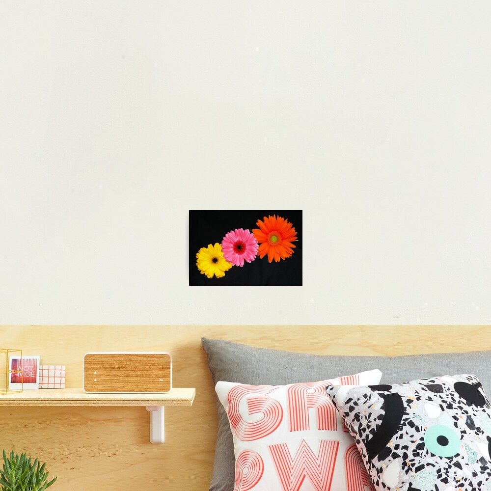 Item preview, Photographic Print designed and sold by daphsam.