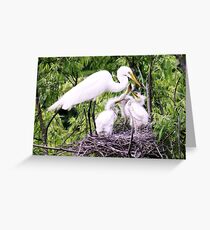Hungry Greeting Card