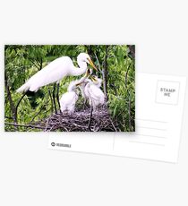 Hungry Postcards