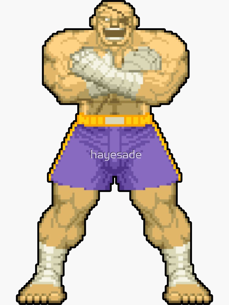 Fighter Sagat GIFs