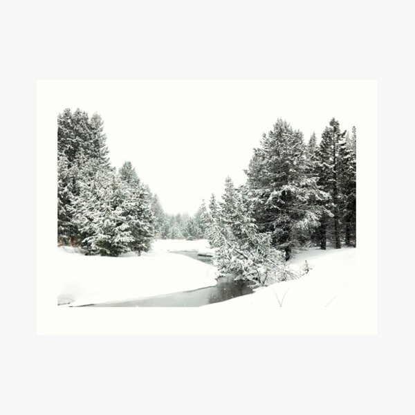 Upper Truckee River Surrounded by Snow Art Print