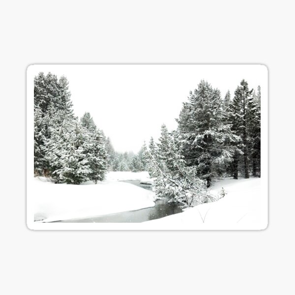 Upper Truckee River Surrounded by Snow Sticker