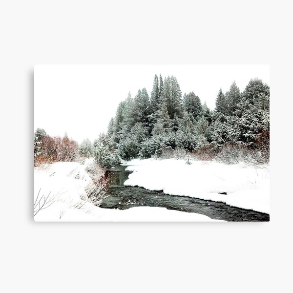 Snowy Upper Truckee River Canvas Print