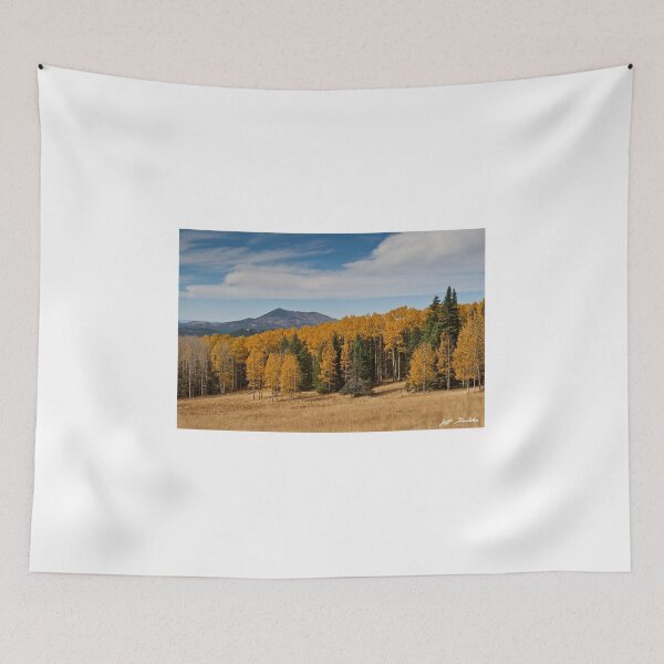 Item preview, Fall Colored Aspens on Hart Prairie designed and sold by Jeff Goulden Photography.